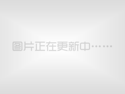 羊肚菌的功效與作用