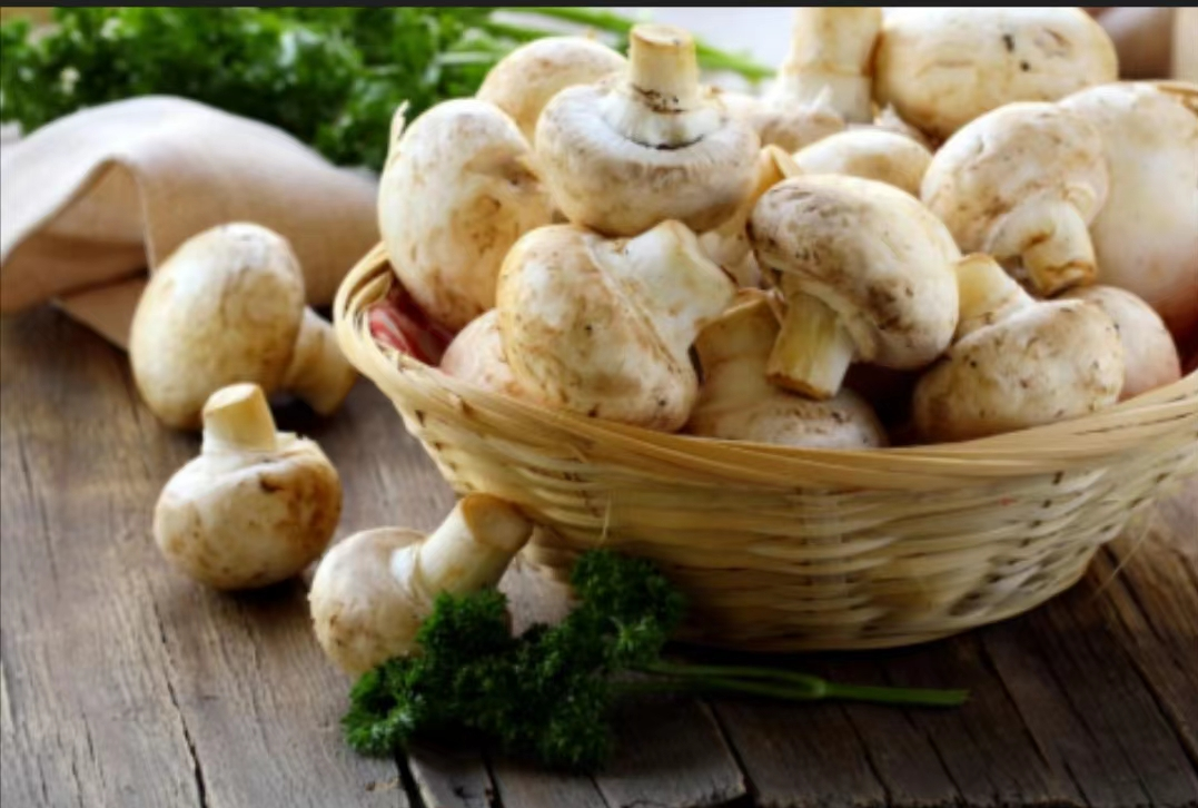 菌菇被稱為“素食之冠”這樣吃，讓你吃出好體魄！